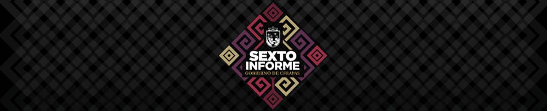 Sexto Informe Anual 2024