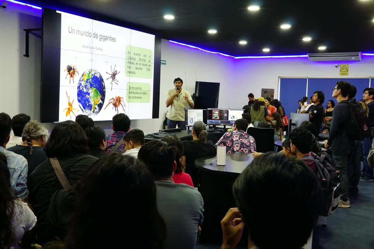 Aracnofest 2026: Tuxtla se llena de patas, seda y ciencia